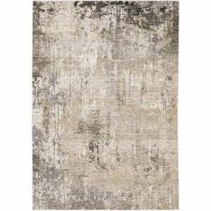 Oriental Weavers Nebulous 002X9 Beige/ Grey Indoor Area Rug - 3'3" x 5' - 1 of 1