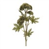 Sedum Succulent Spray (Set of 6) - 2 of 2