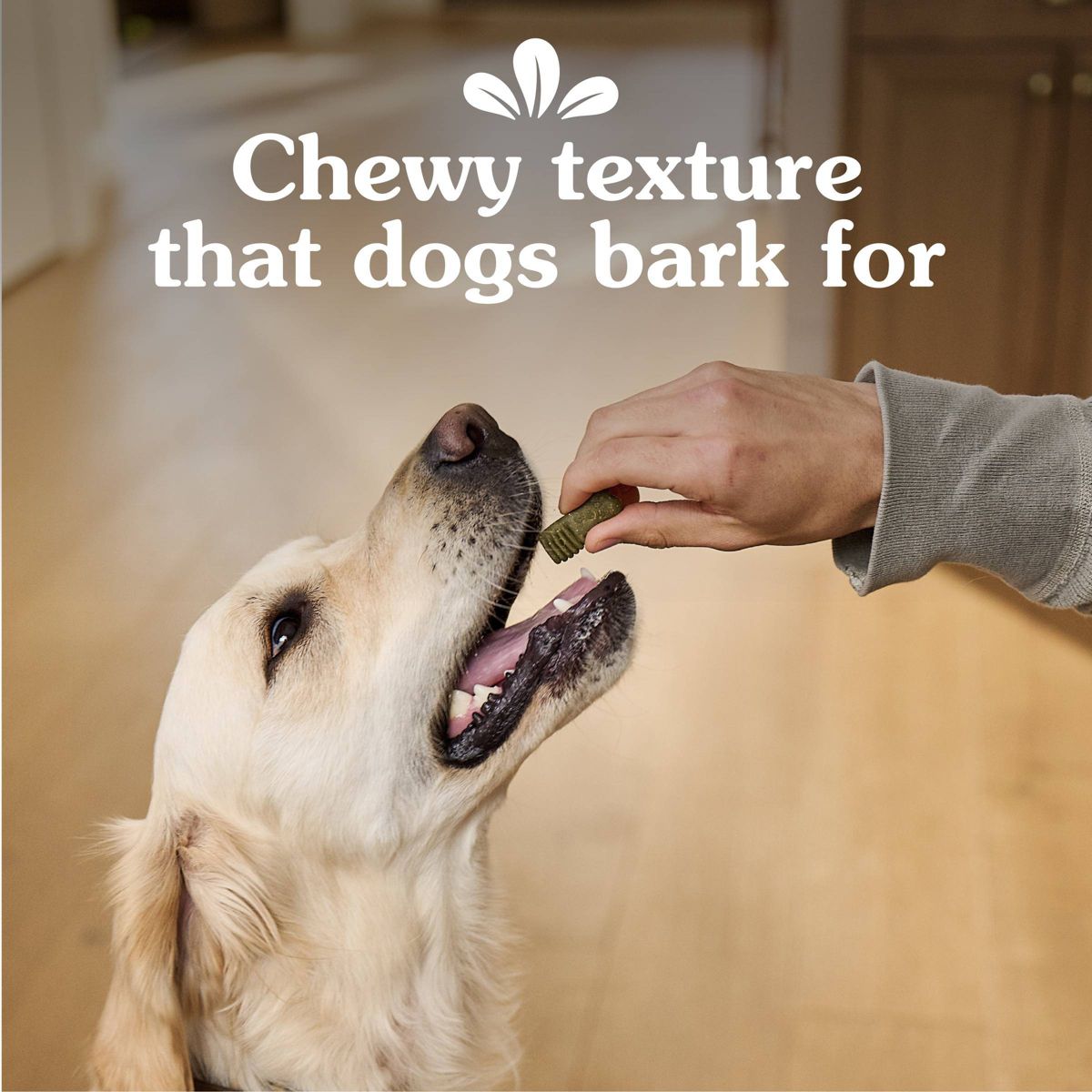 Greenies Anytime Bites Original Flavor Dog Treats - thumbnail 7