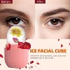 Ice Cube Roller Massager for Face, Eyes and Neck Naturally Conditioning and Skin Care - 2 of 4