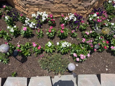 Guest review image 1 of 2, zoom in