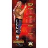 WWE Legends 2025 12"x12" Team Wall Calendar - 2 of 4