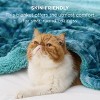 Bedsure- Cloud Soft PV Blanket ,Comfy Plush and Furry Faux Fur - 4 of 4