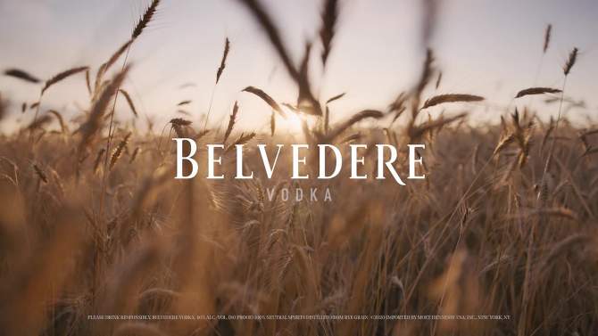 Belvedere Polish Rye Vodka - 750ml Bottle, 2 of 8, play video