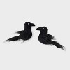 Ravens Cat Plush Toy Set - 2pk - Boots & Barkley™ - 2 of 3