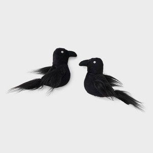 Ravens Cat Plush Toy Set - 2pk - Boots & Barkley™ - 1 of 3