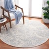 Adirondack ADR101 Non-Shedding Power Loomed Indoor Rugs - Safavieh - 2 of 3
