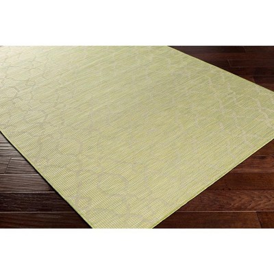 Buiksloot Olive Synthetic Fur Rectangular Area Rug 2'6" x 4'