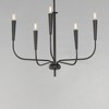 Maxim Lighting Vela 5 - Light Chandelier in  Black - 4 of 4
