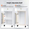 Karl Home Gray Wooden Mobile Salon Trolley Cart with Wheels and Glass Door and Dryer Holder - 4 of 4