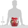 Alder Creek Gift Baskets Lindt Holiday Delights Gift Basket - 2 of 4