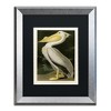 John James Audubon 'American White Pelican' Matted Framed Art-16x20 - 2 of 4