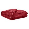 Sapphtopaz Reversible Plush to Microfiber Blanket, Temperature-Regulating Blanket, HeiQ Smart Temperature Down Alternative Blanket, Throw Blanket - 2 of 4