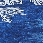 blue-2*8ft