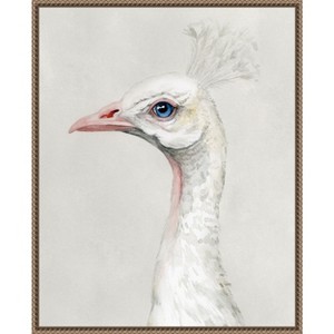 Amanti Art Alpine Peacock II by Grace Popp Framed Canvas Wall Art - 1 of 4