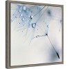 Amanti Art Baby Blue Dandelion Flower by Ingrid Beddoes Canvas Wall Art Print Framed 16 x 16-in. - 3 of 4