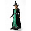 California Costumes Marvelous Witch Child Costume - 3 of 4