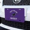 Prairie View A&M Panthers Logo Novelty Metal Vanity Tag License Plate - 2 of 4