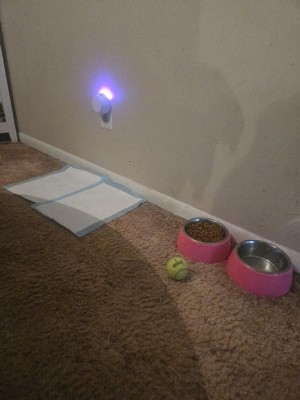 Guest review image 1 of 1, zoom in