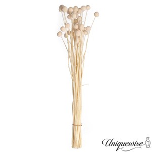 Uniquewise Preserved Real Floral Stems Chic Vase Fillers & Accents for Bouquets Centerpieces - 1 of 4