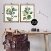 Stupell Industries Soft Eucalyptus Plant Ombre Leaves 2pc Floating Frame Art Set - 3 of 4