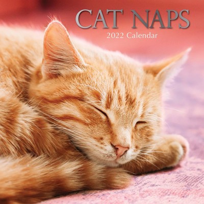 The Gifted Stationery 2021 - 2022 Cat Naps Monthly Wall Calendar, 16 Month, Animals Pet Theme with Reminder Stickers, 12 x 12 in