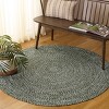 Braided BRA260  Machine Washable UV Resistant Stain Resistant Non-Shedding Hand Woven Indoor/Outdoor Rugs - Safavieh - 2 of 3