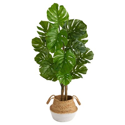 Nearly Natural 4-ft Monstera Tree in Boho Chic Handmade Cotton & Jute White Woven Planter UV Resistant