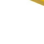 yellow | with one pair of gloves