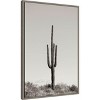 Amanti Art Saguaro Afternoon by Nathan Larson Framed Canvas Wall Art - 3 of 4