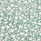 green white flowers