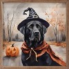 Kendrick Home Halloween Wall Art Black Lab - 2 of 4