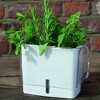 Cole & Mason Fresh Herb Keeper Container - image 3 of 4