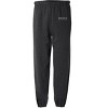 Macaulay Honors College Primary Logo Jogger Sweatpants - 2 of 4
