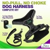 Gm Harness Leash Poo Bag Holder Set - 3 of 4