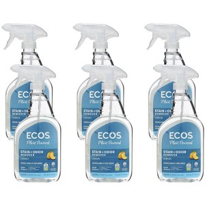 Earth Friendly Stain and Odor Remover Spray - Case of 6/22 fz - 1 of 4