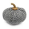 Whisen Set of 2, 8x8x6.3"H Pumpkin, Pumpkin Ornament Decor for Harvest Festival Fall Festival & Thanksgiving - 3 of 4