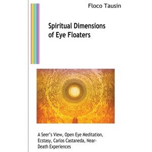 Spiritual Dimensions of Eye Floaters - by  Floco Tausin (Paperback) - 1 of 1