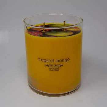 19oz Glass Jar 2-Wick Tropical Mango Candle - Room Essentials™