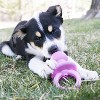 KONG Puppy Binkie Dog Toy - S - 2 of 3