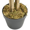 Aghana Digitals 70.9in Artificial Bamboo Tree - Green Textile Fiber, Indoor/Outdoor Use, - 3 of 4