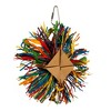 Prevue Pet Products Playfuls Raffia Rainbow Bird Toy - 2 of 3