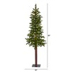 Nearly Natural 5-ft Alaskan Alpine Artificial Christmas Tree with 100 Clear Microdot (Multifunction) LED Lights and 92 Bendable Branches - 2 of 4