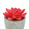 Unique Bargains Artificial Plants Small Graptopetalum in Mini Pulp Plastic 2.76"x2.76"x2.95" 1 Pc - 4 of 4
