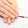 Unique Bargains Nail Painting Brushes for Polish Painting Home DIY Clear Gray 1 Pc - 2 of 4