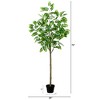 Nearly Natural 6-ft Artificial Greco Citrus Tree with Real Touch Leaves - 2 of 4