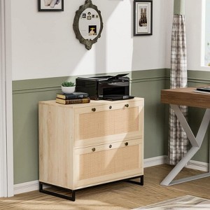 Karl Home 2-Drawer Beige MDF 29.53in. W Lateral File Cabinet - 1 of 4