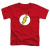 Toddler Boys' the Flash Lightning Bolt Logo T-Shirt - 2 of 4