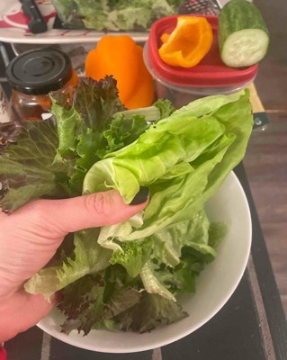 Butterhead Lettuce, 4.5 oz, Gotham Greens