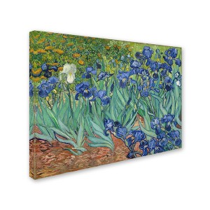 Vincent van Gogh 'Irises, 1889' Matted Framed Art - 1 of 4